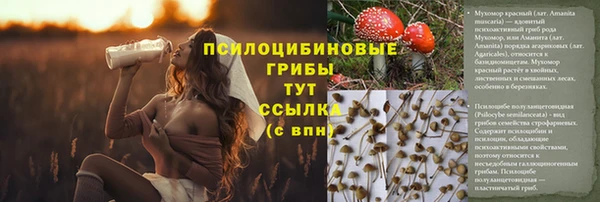 твердый Алексеевка