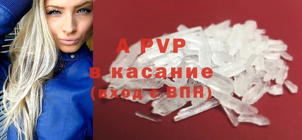 стафф Арсеньев