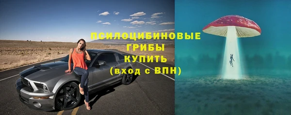 твердый Алексеевка