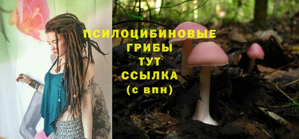 твердый Алексеевка