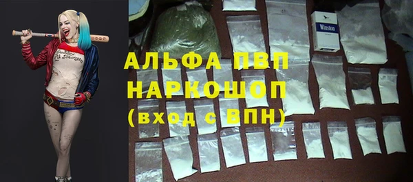 a pvp Аркадак