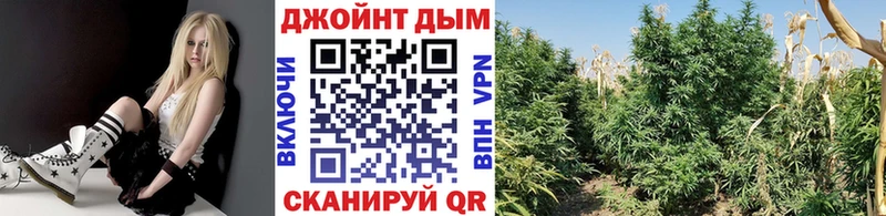 blacksprut вход Североуральск Каннабис ГИДРОПОН